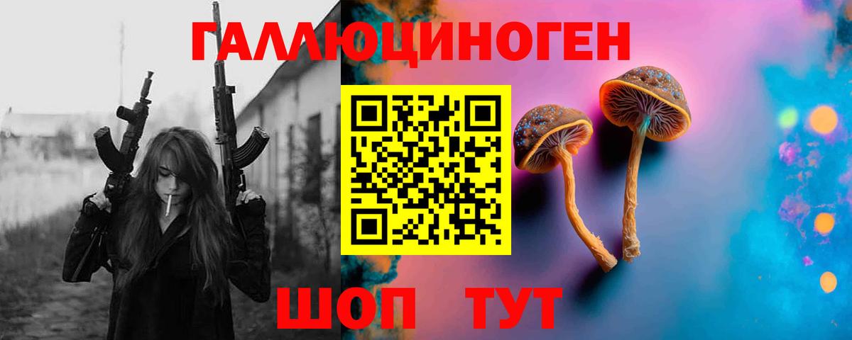 Будённовск  Галлюциногенные грибы Magic Shrooms  Вход с VPN 